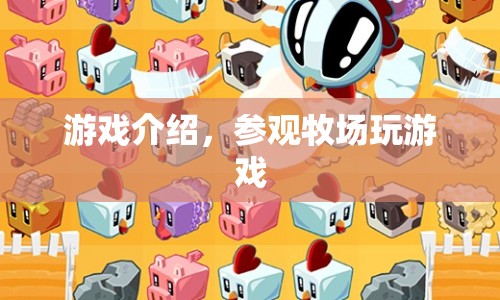 牧場探險(xiǎn)，趣味游戲等你來挑戰(zhàn)