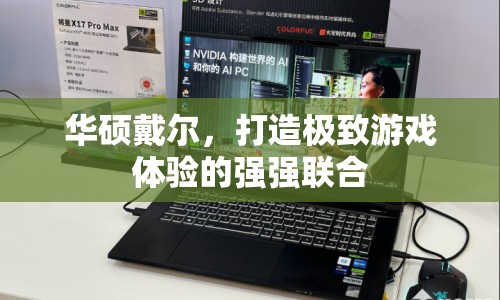 華碩戴爾攜手打造極致游戲體驗