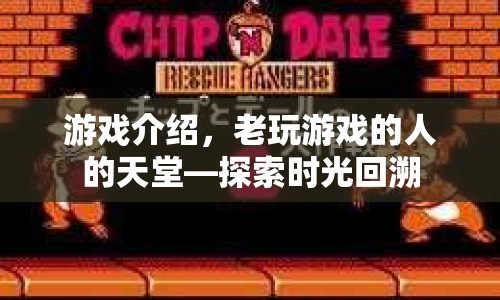 時光回溯，老游戲迷的天堂探索之旅