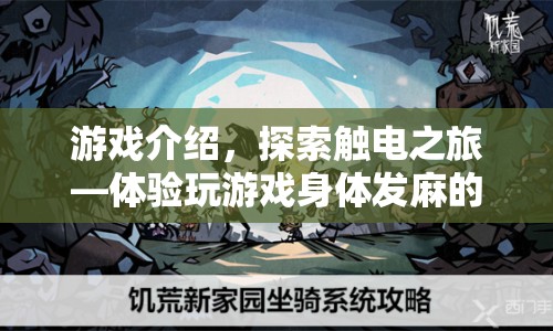 觸電之旅，體驗(yàn)身體發(fā)麻的奇妙冒險(xiǎn)