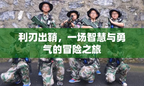 利刃出鞘，智慧與勇氣的冒險之旅