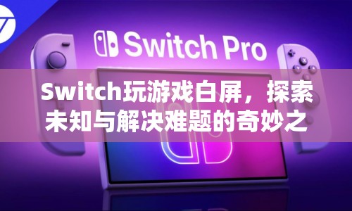 Switch游戲白屏，探索未知與解決難題的奇妙之旅