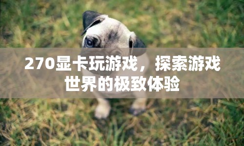 270顯卡，探索游戲世界的極致體驗(yàn)