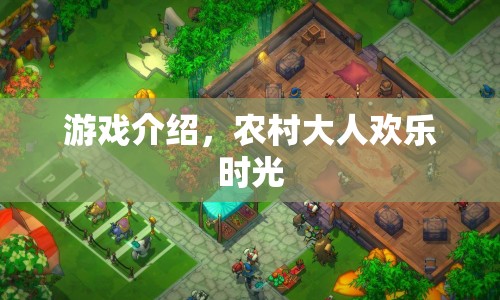 農(nóng)村大人歡樂時(shí)光，游戲介紹