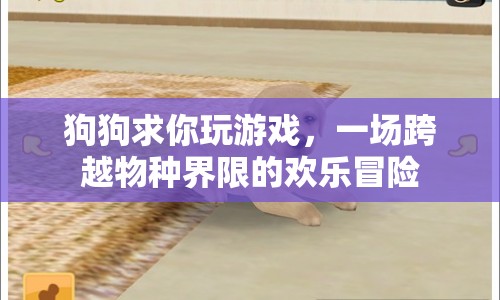 狗狗求你玩，跨越物種界限的歡樂(lè)冒險(xiǎn)