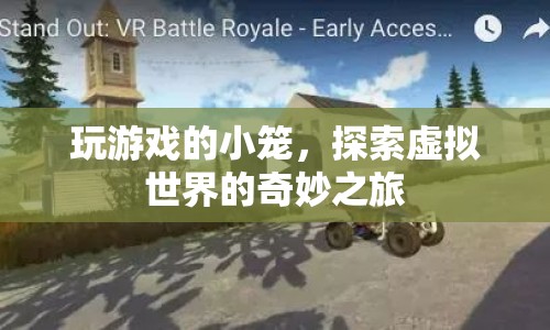 小籠的虛擬世界之旅，探索奇妙的游戲世界