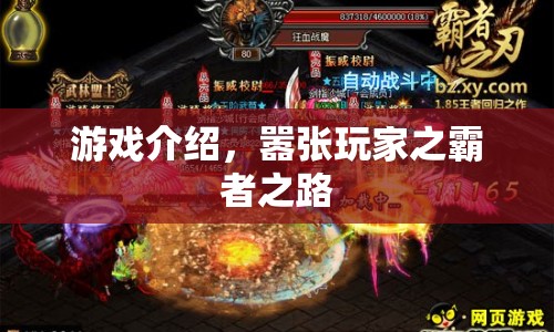 囂張玩家之霸者之路，游戲介紹