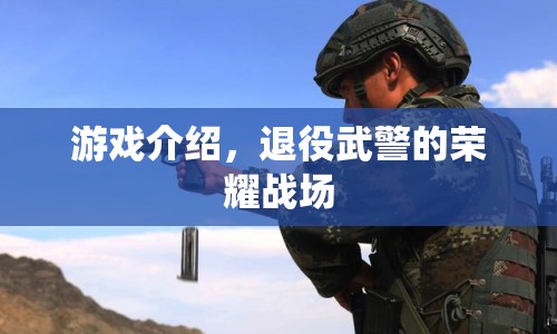 退役武警的榮耀戰(zhàn)場(chǎng)，游戲介紹