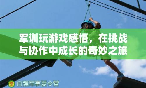 軍訓游戲，挑戰(zhàn)與協(xié)作的奇妙成長之旅