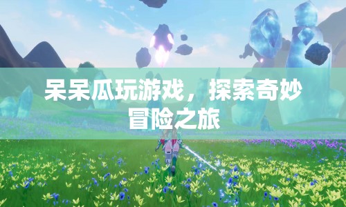 呆呆瓜的奇妙冒險(xiǎn)之旅，探索游戲世界的無限可能