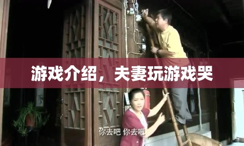 夫妻玩游戲哭，情感共鳴的奇妙體驗(yàn)