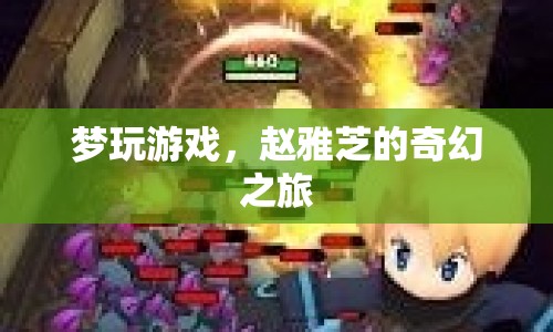 趙雅芝奇幻之旅，夢(mèng)玩游戲