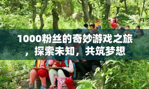 1000粉絲的奇妙游戲之旅，探索未知，共筑夢(mèng)想
