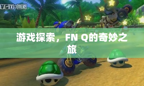FN Q的奇妙之旅，游戲探索之旅