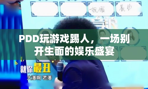 PDD玩游戲踢人，掀起娛樂(lè)盛宴高潮