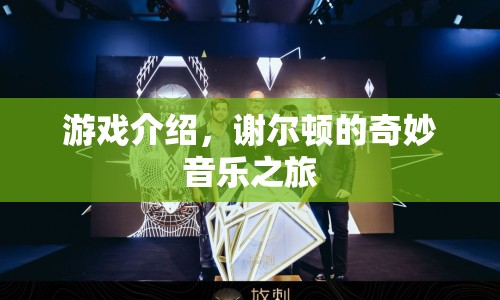 謝爾頓的奇妙音樂(lè)之旅，探索音樂(lè)世界的奇妙之旅