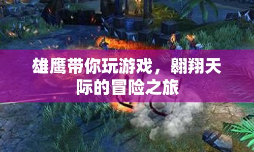 雄鷹翱翔天際，帶你開啟冒險之旅