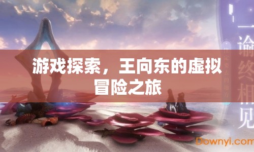 王向東的虛擬冒險之旅，游戲探索的奇妙之旅