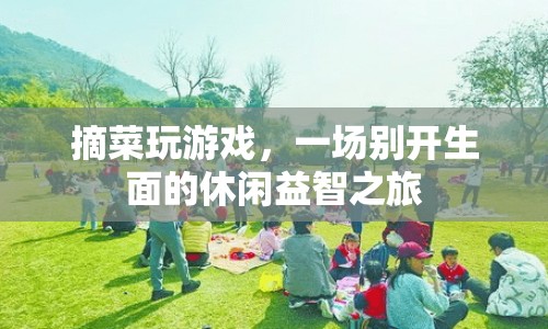 摘菜游戲，開啟休閑益智之旅