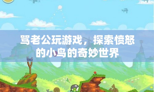 憤怒小鳥(niǎo)，妻子怒斥老公沉迷游戲，探索家庭沖突新視角