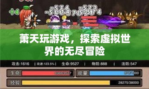 蕭天，虛擬世界的無(wú)盡冒險(xiǎn)