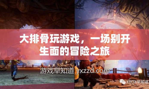 大排骨的冒險之旅，一場別開生面的游戲盛宴