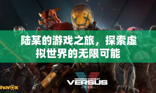 陸某的游戲之旅，探索虛擬世界的無(wú)限可能