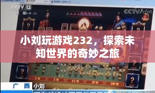 小劉探索游戲世界，奇妙之旅的232個(gè)精彩瞬間