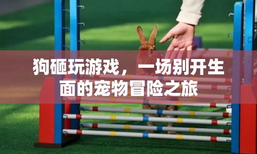 狗砸玩游戲，寵物冒險(xiǎn)之旅開啟