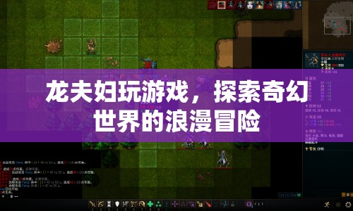 龍夫婦奇幻冒險(xiǎn)，探索浪漫世界的游戲之旅