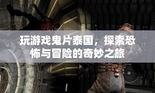 泰國(guó)鬼片冒險(xiǎn)之旅，恐怖與冒險(xiǎn)的奇妙交融
