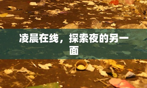 凌晨在線，探索夜的另一面