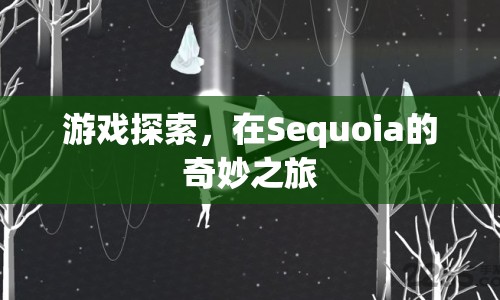 Sequoia的奇妙之旅，探索游戲世界的奧秘