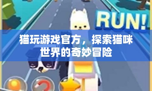 貓玩游戲官方，探索貓咪世界的奇妙冒險(xiǎn)
