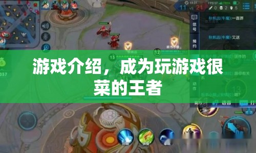 成為游戲菜鳥(niǎo)的王者之路