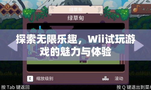 Wii試玩游戲，探索無(wú)限樂(lè)趣的魅力與體驗(yàn)