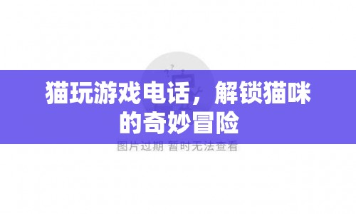 貓玩游戲電話，解鎖貓咪的奇妙冒險之旅