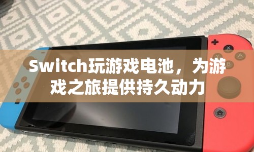 Switch游戲電池，為游戲之旅提供持久動(dòng)力