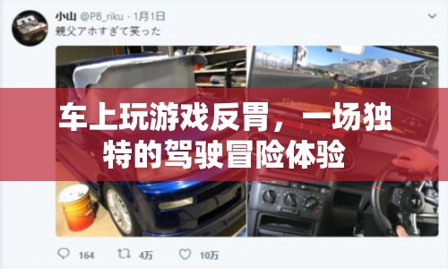 駕駛冒險，車上游戲引發(fā)反胃的奇妙之旅
