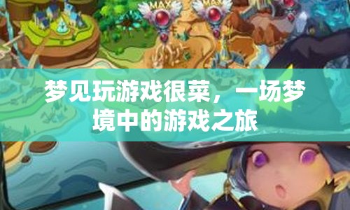 夢境中的游戲挑戰(zhàn)，一場菜鳥的冒險(xiǎn)之旅