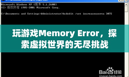 虛擬世界中的無盡挑戰(zhàn)，Memory Error的奧秘