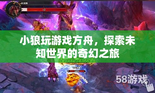 小狼探索方舟游戲，奇幻之旅開啟