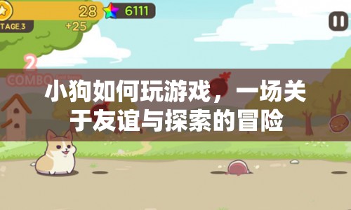 小狗的友誼與探索冒險，一場歡樂的游戲之旅