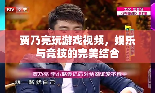 賈乃亮游戲視頻，娛樂競技完美融合