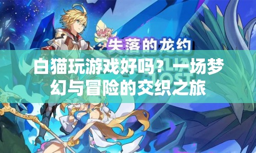 白貓夢幻冒險(xiǎn)，一場交織的游戲之旅