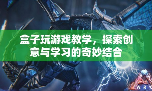盒子玩游戲，探索創(chuàng)意與學習的奇妙結(jié)合