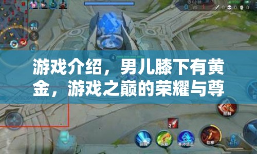 男兒膝下有黃金，游戲之巔的榮耀與尊嚴(yán)