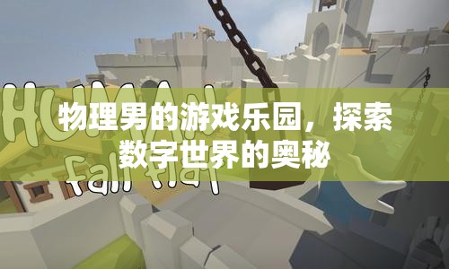 物理男的游戲樂園，揭秘?cái)?shù)字世界的奧秘