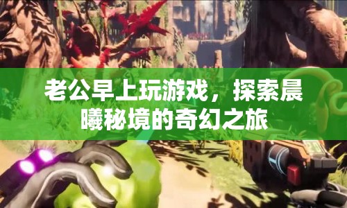 老公晨起探索晨曦秘境，奇幻游戲之旅開啟
