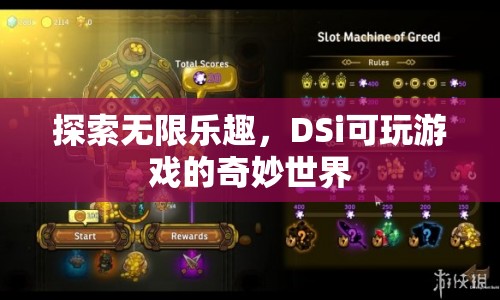DSi可玩游戲的奇妙世界，探索無限樂趣